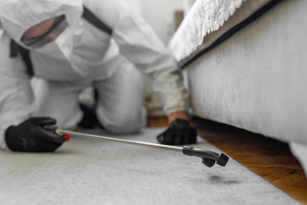 Professional Cockroach Control technician working in Manteca, CA